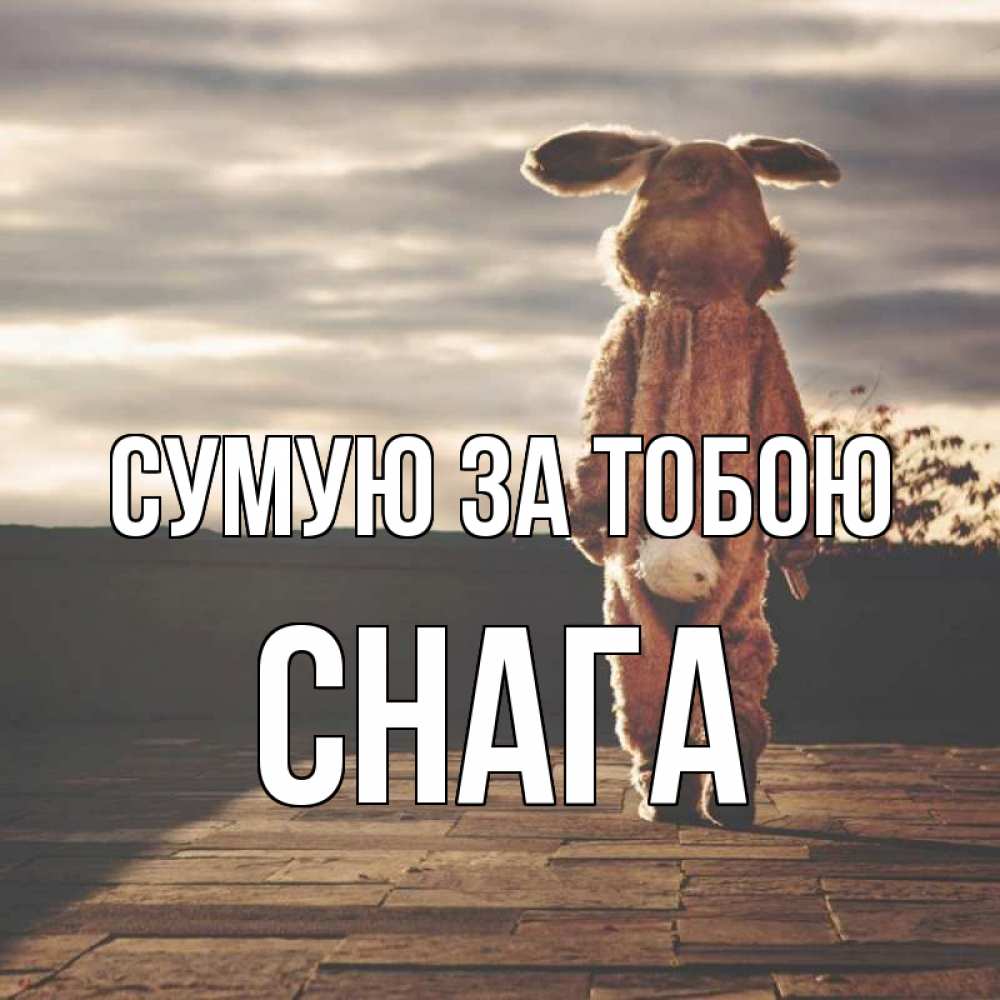 Открытка на каждый день з підписом, Снага Сумую за тобою даже в костюме зайца Прикольна листівка з побажанням онлайн скачати безкоштовно 