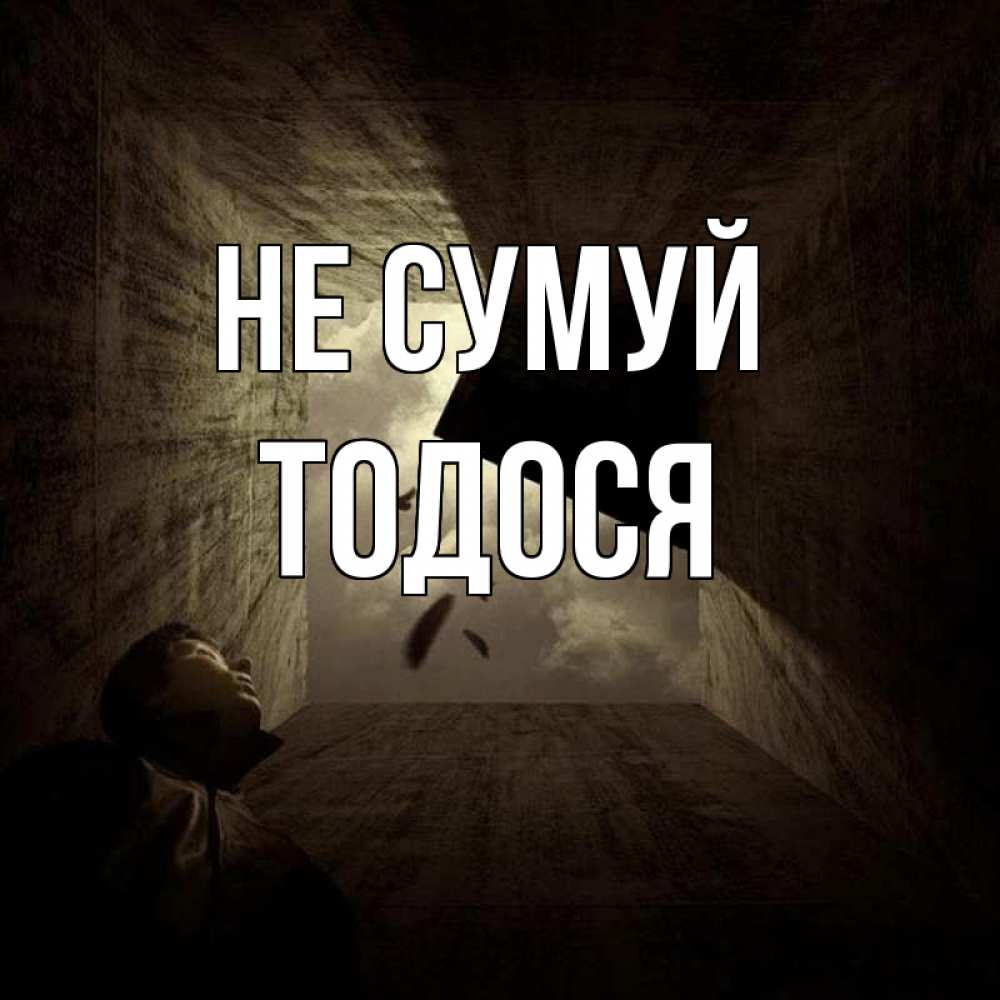 Открытка на каждый день з підписом, Тодося Не сумуй жуть Прикольна листівка з побажанням онлайн скачати безкоштовно 