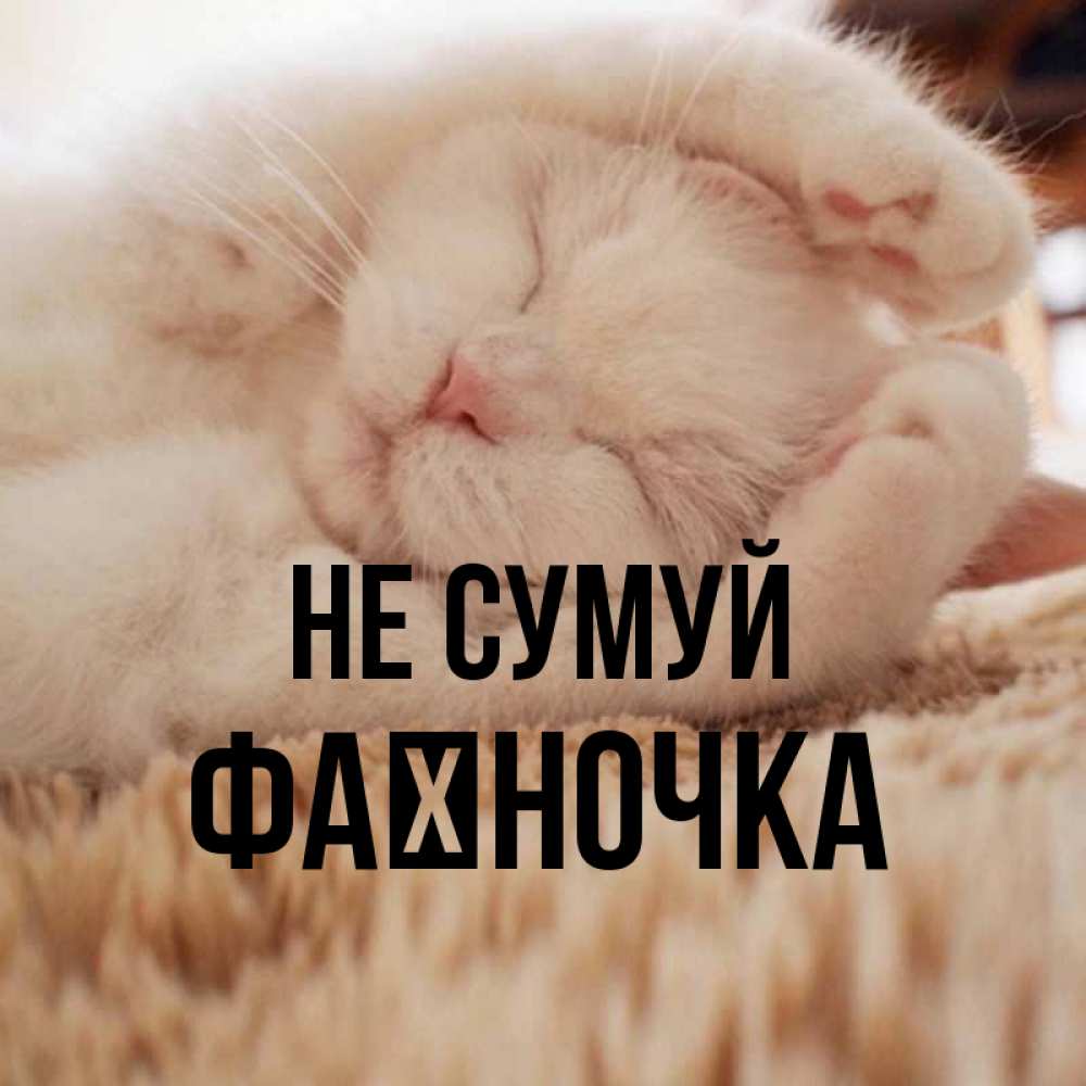 Открытка на каждый день з підписом, Фаїночка Не сумуй Котенок спит Прикольна листівка з побажанням онлайн скачати безкоштовно 