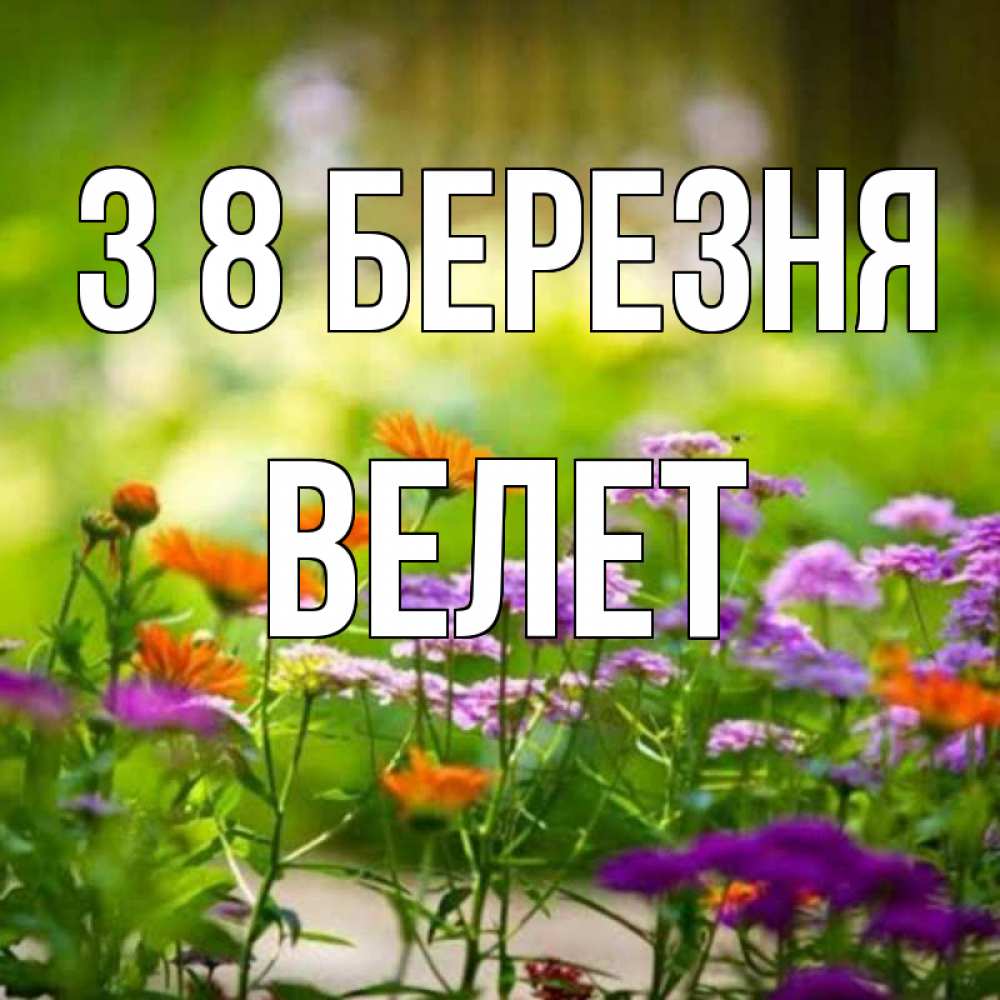 Открытка на каждый день з підписом, Велет З 8 БЕРЕЗНЯ цветы Прикольна листівка з побажанням онлайн скачати безкоштовно 