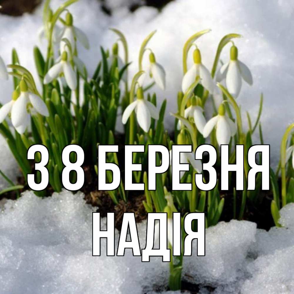 Открытка на каждый день з підписом, Надія З 8 БЕРЕЗНЯ цветы весенние Прикольна листівка з побажанням онлайн скачати безкоштовно 