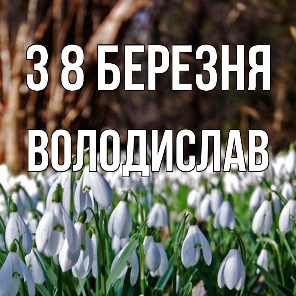 Открытка на каждый день з підписом, Володислав З 8 БЕРЕЗНЯ с подснежниками 1 Прикольна листівка з побажанням онлайн скачати безкоштовно 