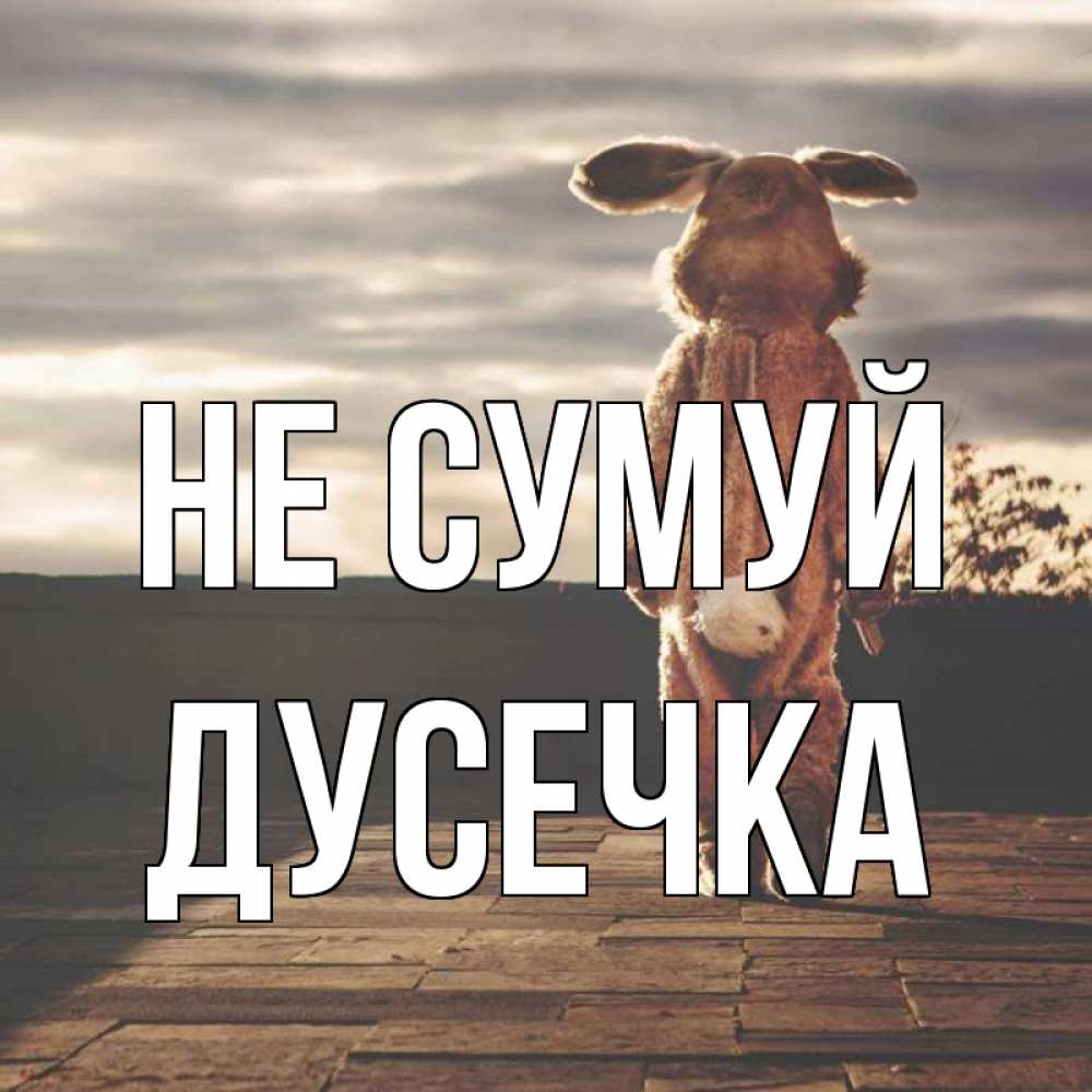 Открытка на каждый день з підписом, Дусечка Не сумуй со спины Прикольна листівка з побажанням онлайн скачати безкоштовно 