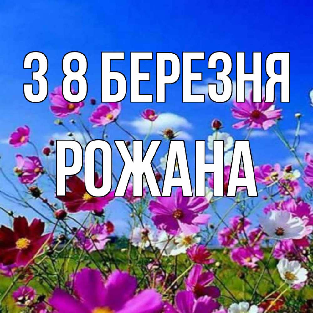 Открытка на каждый день з підписом, Рожана З 8 БЕРЕЗНЯ цветы Прикольна листівка з побажанням онлайн скачати безкоштовно 