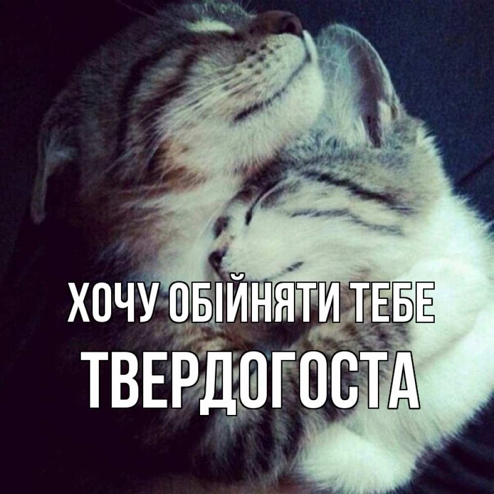 Открытка на каждый день з підписом, Твердогоста Хочу обійняти тебе полосатики Прикольна листівка з побажанням онлайн скачати безкоштовно 