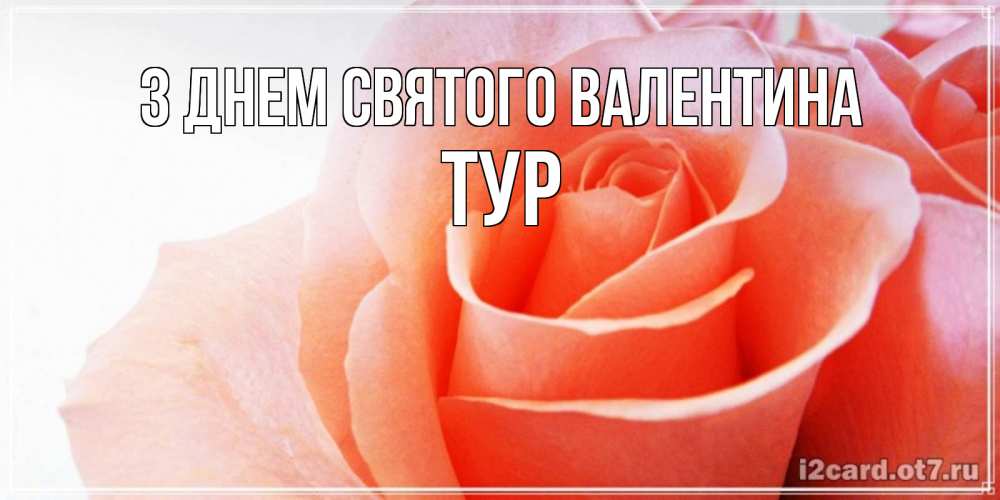 Открытка на каждый день з підписом, Тур З Днем Святого Валентина открытка на день Святого Валентина с розовой розой Прикольна листівка з побажанням онлайн скачати безкоштовно 