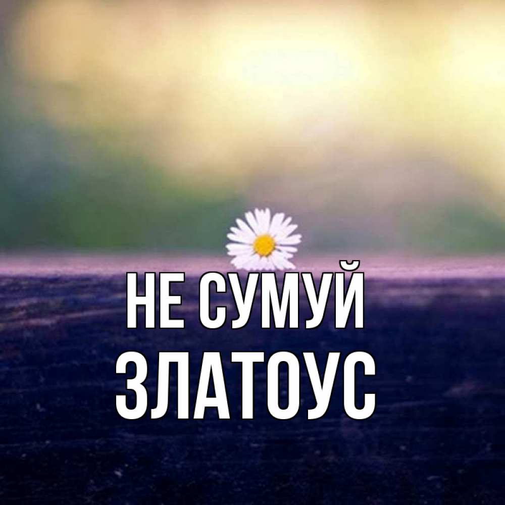 Открытка на каждый день з підписом, Златоус Не сумуй красота Прикольна листівка з побажанням онлайн скачати безкоштовно 