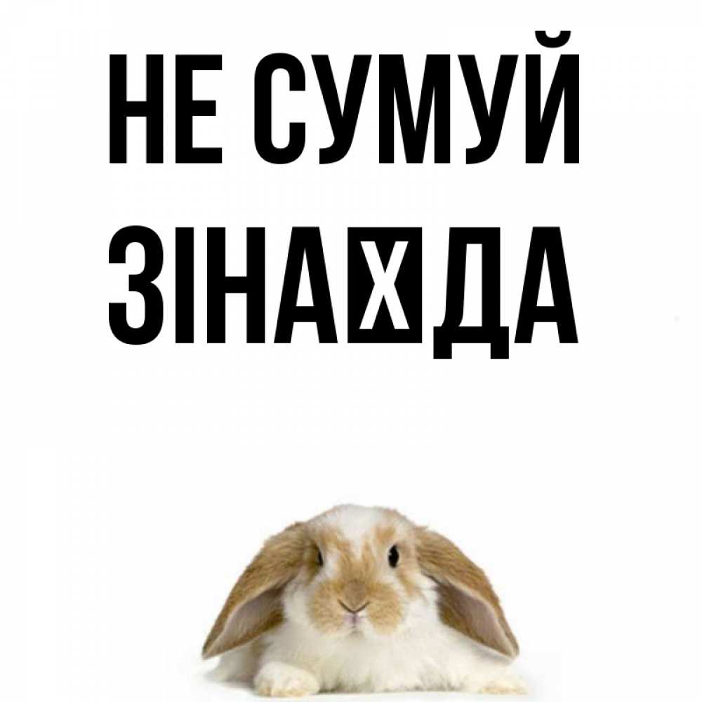 Открытка на каждый день з підписом, Зінаїда Не сумуй коричнево белый заяц с большими ушками Прикольна листівка з побажанням онлайн скачати безкоштовно 