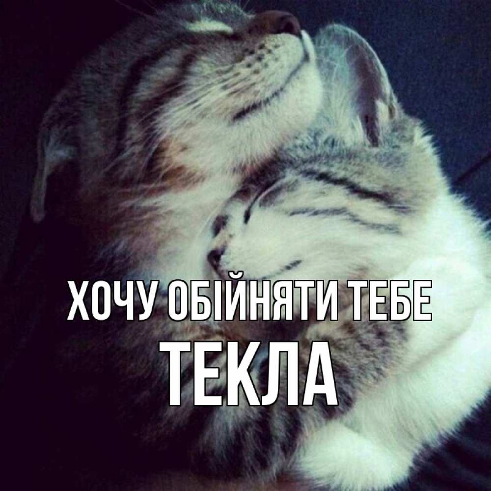 Открытка на каждый день з підписом, Текла Хочу обійняти тебе полосатики Прикольна листівка з побажанням онлайн скачати безкоштовно 