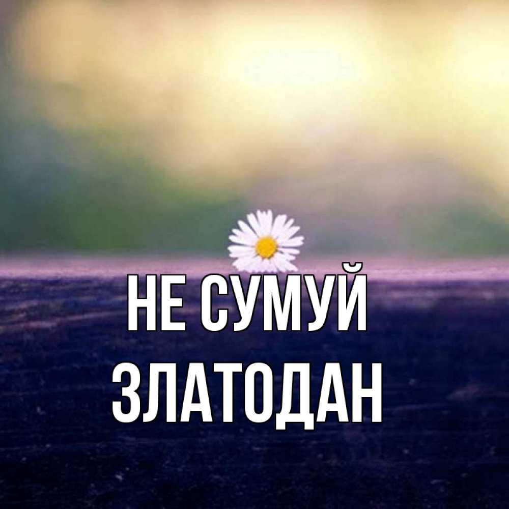 Открытка на каждый день з підписом, Златодан Не сумуй красота Прикольна листівка з побажанням онлайн скачати безкоштовно 