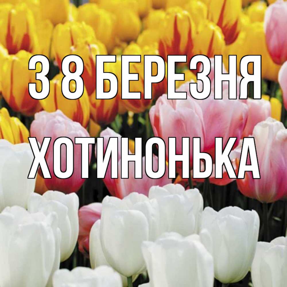 Открытка на каждый день з підписом, Хотинонька З 8 БЕРЕЗНЯ разноцветные цветы Прикольна листівка з побажанням онлайн скачати безкоштовно 