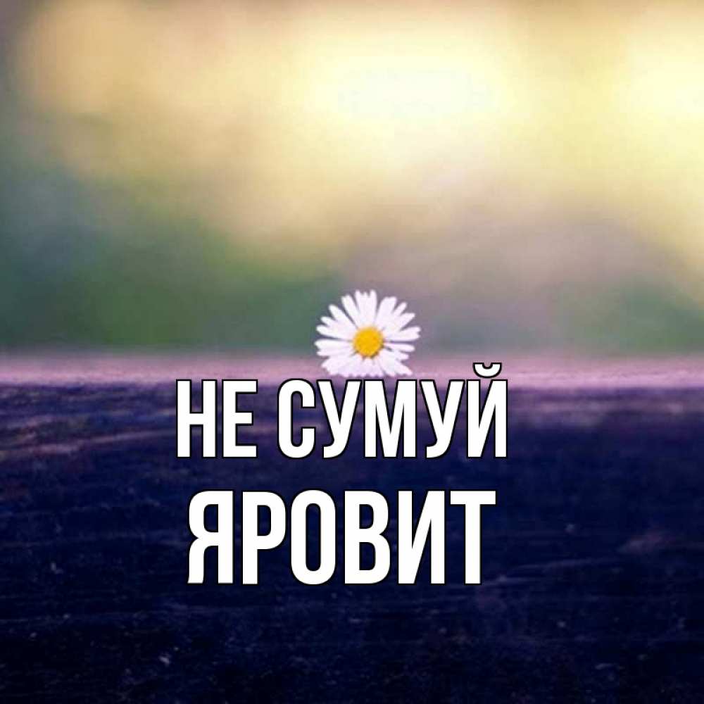 Открытка на каждый день з підписом, Яровит Не сумуй красота Прикольна листівка з побажанням онлайн скачати безкоштовно 