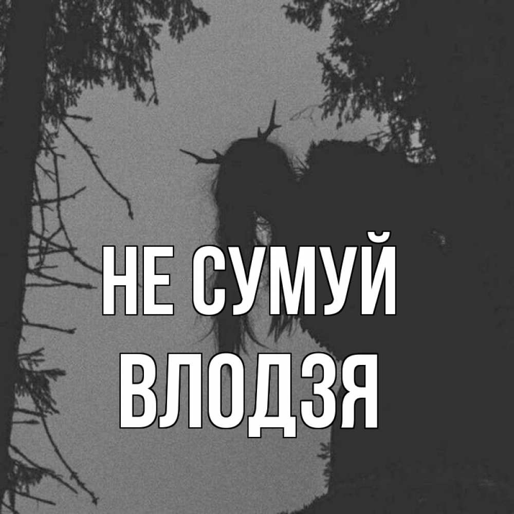 Открытка на каждый день з підписом, Влодзя Не сумуй чудище лесное Прикольна листівка з побажанням онлайн скачати безкоштовно 