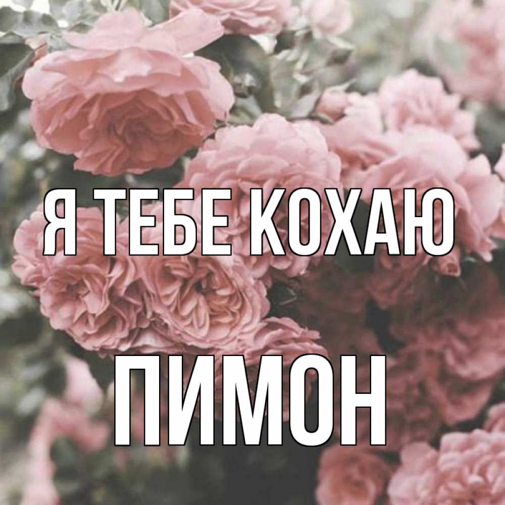 Открытка на каждый день з підписом, Пимон Я тебе кохаю розы 3 Прикольна листівка з побажанням онлайн скачати безкоштовно 