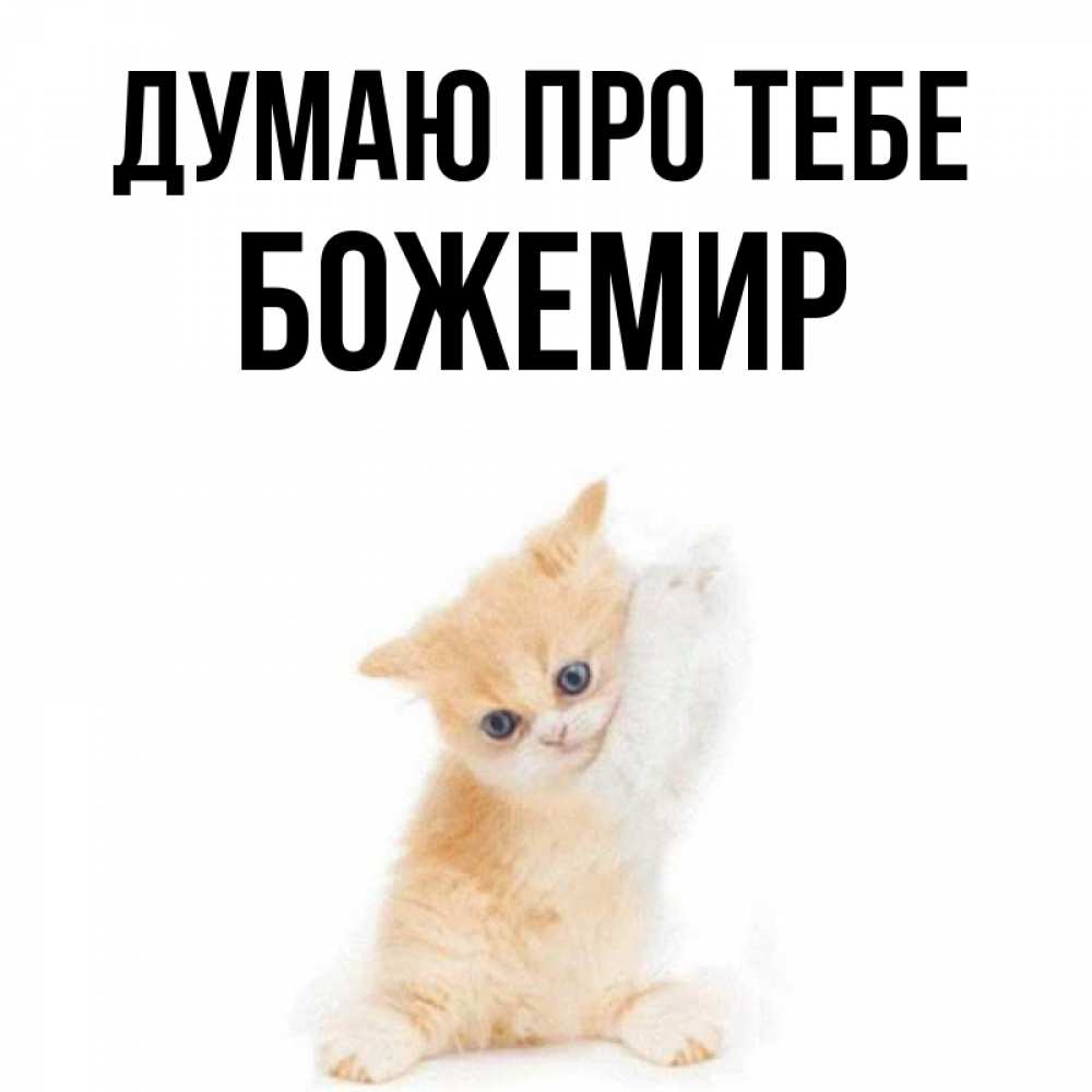 Открытка на каждый день з підписом, Божемир Думаю про тебе зверушки и милота Прикольна листівка з побажанням онлайн скачати безкоштовно 