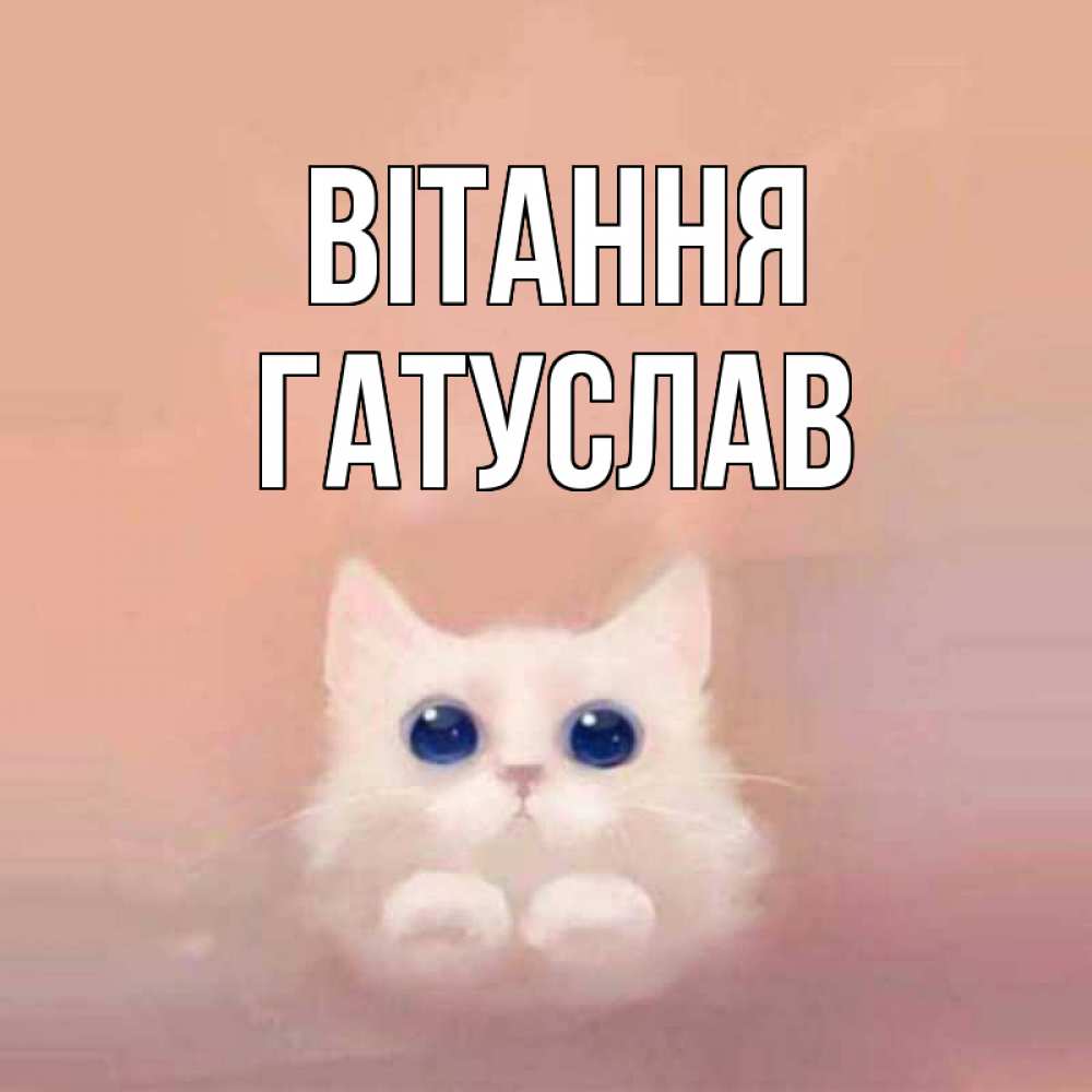 Открытка на каждый день з підписом, Гатуслав Вітання котик белый в полете Прикольна листівка з побажанням онлайн скачати безкоштовно 