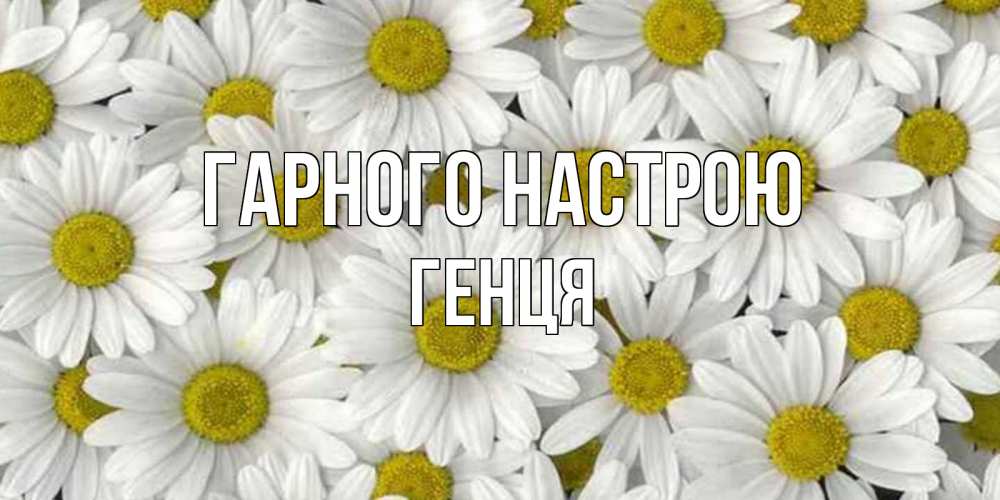 Открытка на каждый день з підписом, Генця Гарного настрою поляна ромашек Прикольна листівка з побажанням онлайн скачати безкоштовно 