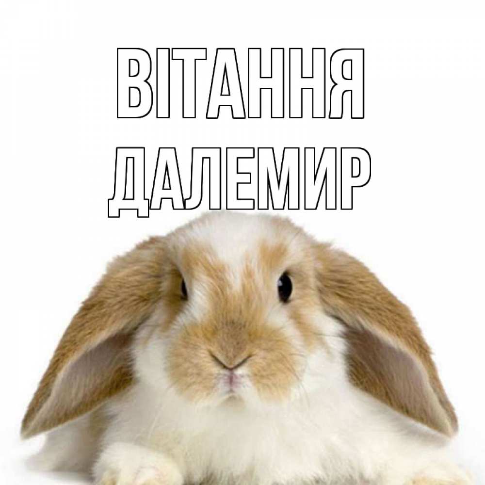 Открытка на каждый день з підписом, Далемир Вітання с животными Прикольна листівка з побажанням онлайн скачати безкоштовно 