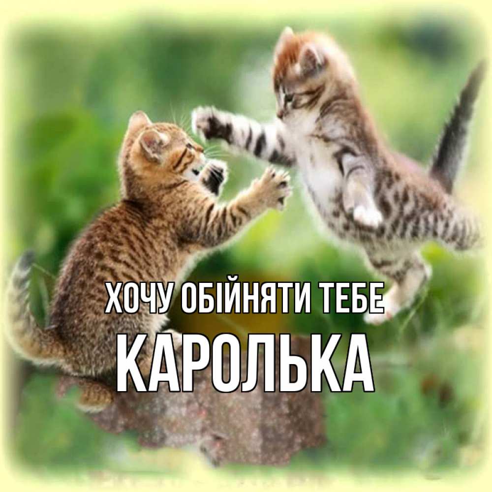 Открытка на каждый день з підписом, Каролька Хочу обійняти тебе игры котят Прикольна листівка з побажанням онлайн скачати безкоштовно 