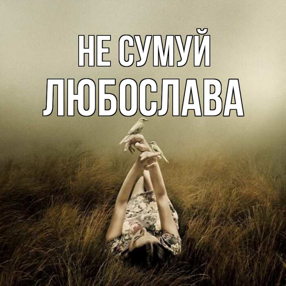 Открытка на каждый день з підписом, Любослава Не сумуй поле и туман Прикольна листівка з побажанням онлайн скачати безкоштовно 