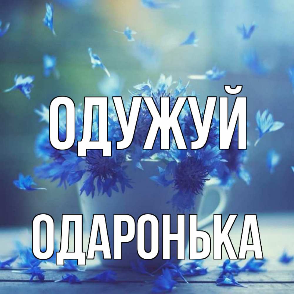 Открытка на каждый день з підписом, Одаронька Одужуй кружка с зельем и цветами Прикольна листівка з побажанням онлайн скачати безкоштовно 