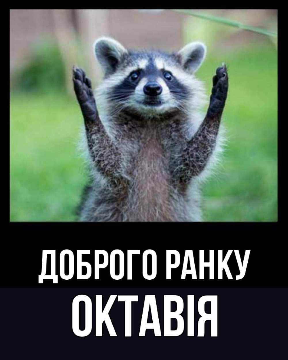 Открытка на каждый день з підписом, Октавія Доброго ранку хорошее настроение утречком Прикольна листівка з побажанням онлайн скачати безкоштовно 
