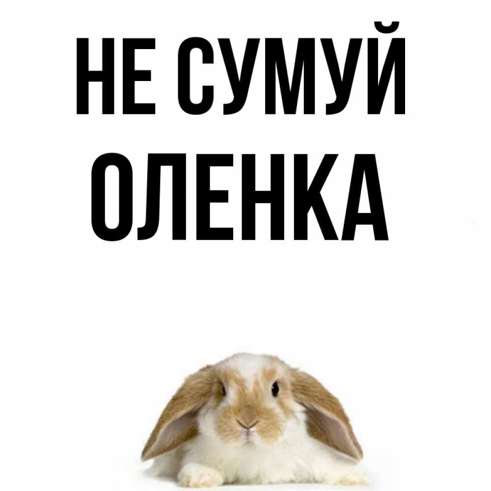 Открытка на каждый день з підписом, Оленка Не сумуй коричнево белый заяц с большими ушками Прикольна листівка з побажанням онлайн скачати безкоштовно 