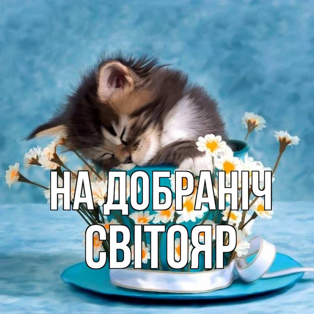 Открытка на каждый день з підписом, Світояр На добраніч котенок спит в кружке с блюдцем Прикольна листівка з побажанням онлайн скачати безкоштовно 