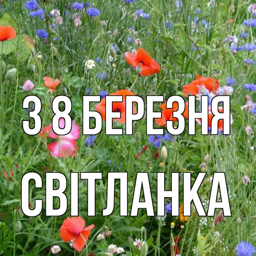 Открытка на каждый день з підписом, Світланка З 8 БЕРЕЗНЯ международный женский день 4 Прикольна листівка з побажанням онлайн скачати безкоштовно 
