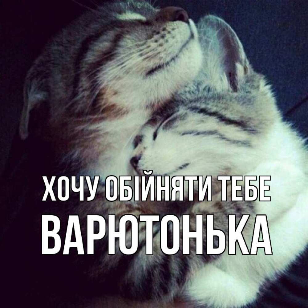 Открытка на каждый день з підписом, Варютонька Хочу обійняти тебе полосатики Прикольна листівка з побажанням онлайн скачати безкоштовно 