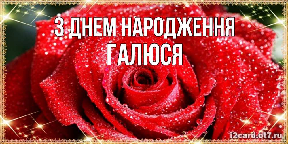 Открытка на каждый день з підписом, Галюся З Днем народження роса и роза. открытка с красивой розой Прикольна листівка з побажанням онлайн скачати безкоштовно 