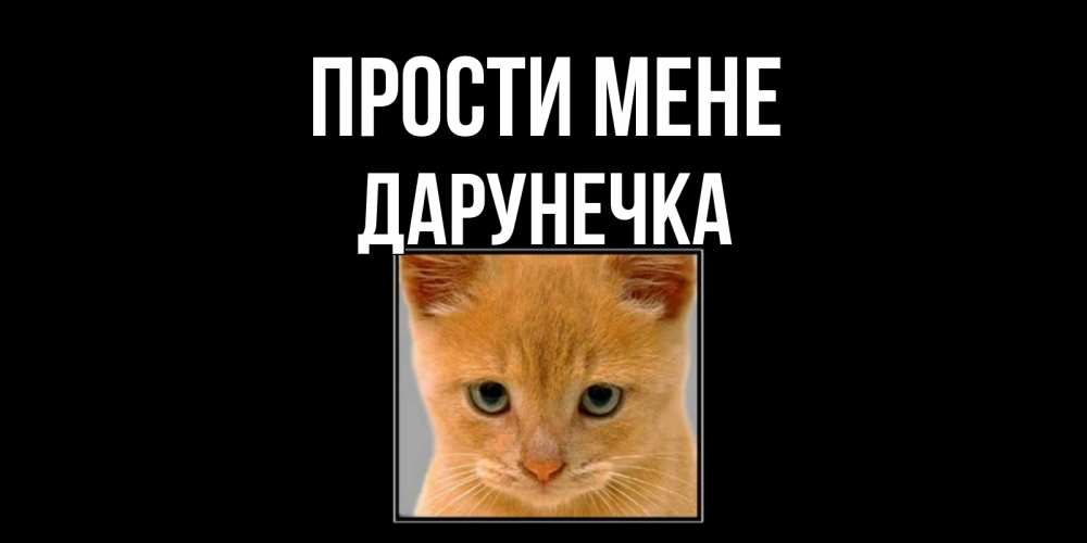 Открытка на каждый день з підписом, Дарунечка Прости мене рыжий грустный кот просит прощения Прикольна листівка з побажанням онлайн скачати безкоштовно 