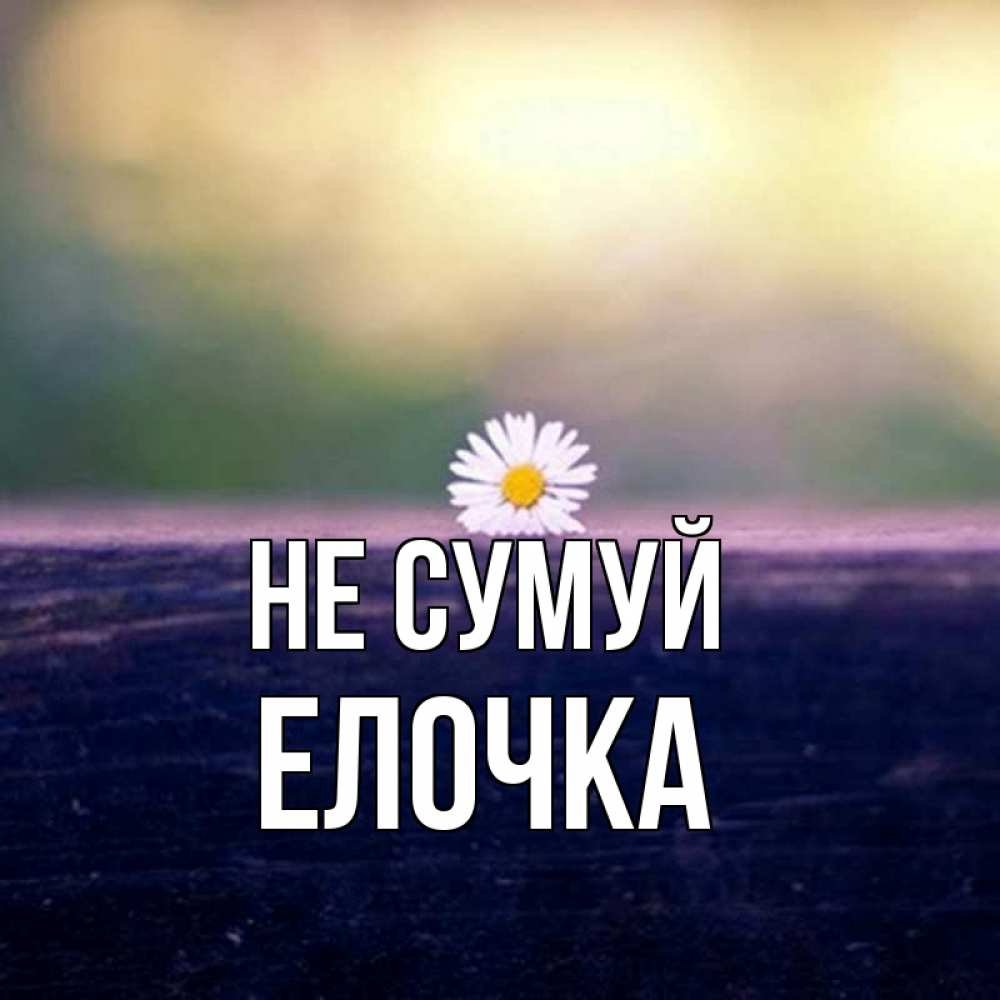 Открытка на каждый день з підписом, Елочка Не сумуй красота Прикольна листівка з побажанням онлайн скачати безкоштовно 