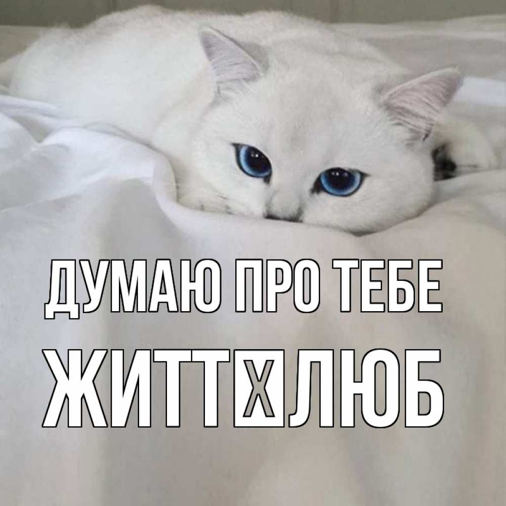 Открытка на каждый день з підписом, Життєлюб Думаю про тебе я очень по тебе скучаю и тоскую Прикольна листівка з побажанням онлайн скачати безкоштовно 
