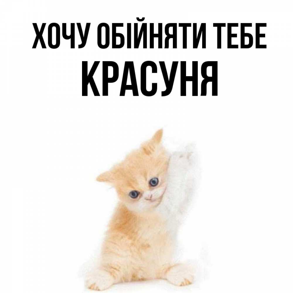 Открытка на каждый день з підписом, Красуня Хочу обійняти тебе я хочу очень скорее обнимаешек Прикольна листівка з побажанням онлайн скачати безкоштовно 