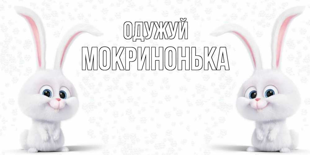 Открытка на каждый день з підписом, Мокринонька Одужуй не болей с зайцем Прикольна листівка з побажанням онлайн скачати безкоштовно 