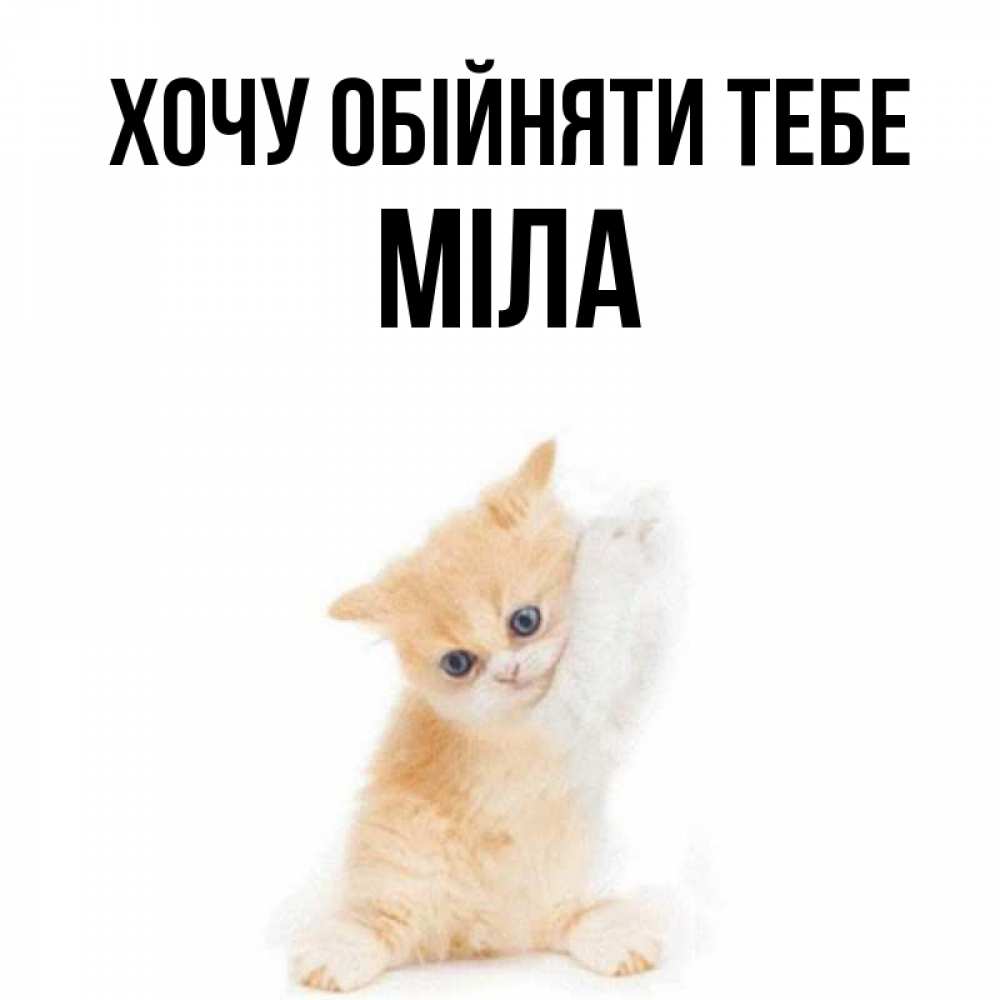 Открытка на каждый день з підписом, Міла Хочу обійняти тебе я хочу очень скорее обнимаешек Прикольна листівка з побажанням онлайн скачати безкоштовно 