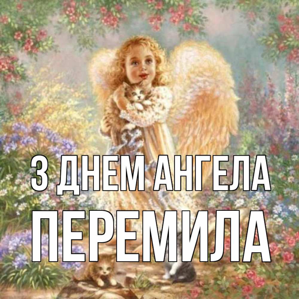 Открытка на каждый день з підписом, Перемила З Днем ангела держит котенка Прикольна листівка з побажанням онлайн скачати безкоштовно 
