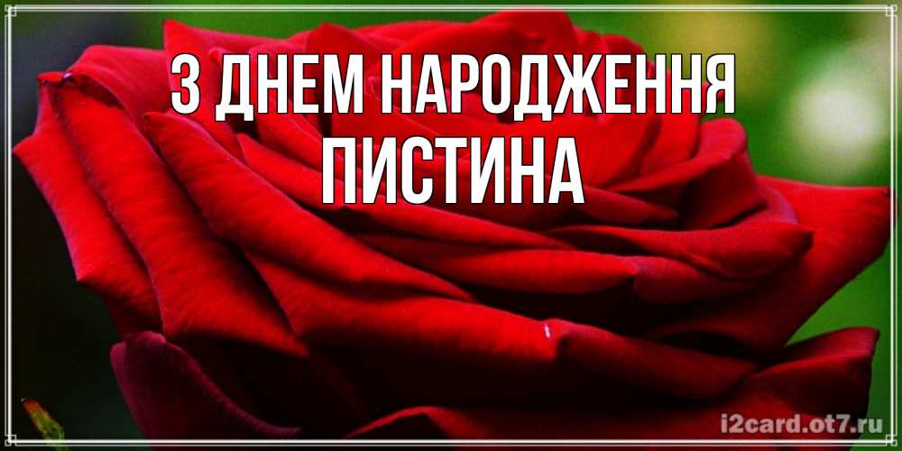 Открытка на каждый день з підписом, Пистина З Днем народження розочка очень красивая Прикольна листівка з побажанням онлайн скачати безкоштовно 