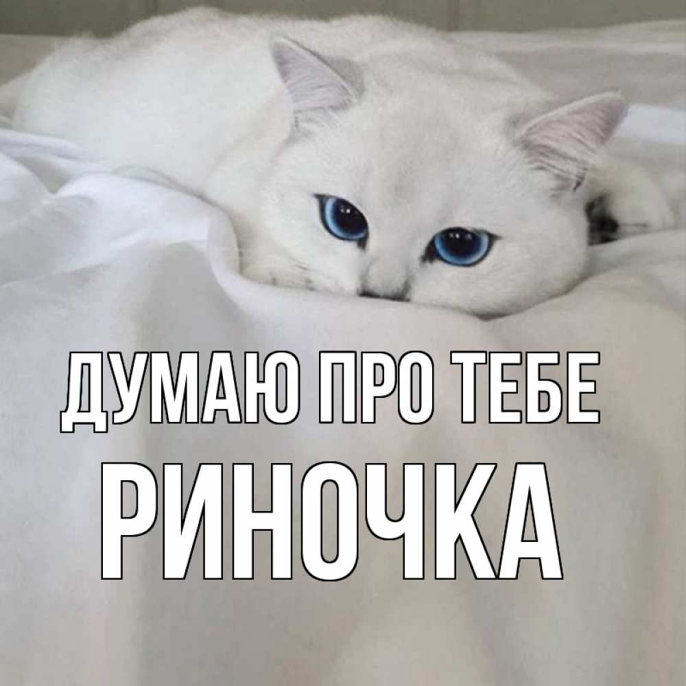 Открытка на каждый день з підписом, Риночка Думаю про тебе я очень по тебе скучаю и тоскую Прикольна листівка з побажанням онлайн скачати безкоштовно 