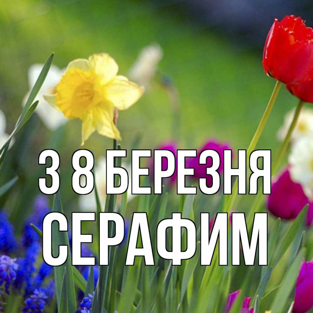 Открытка на каждый день з підписом, Серафим З 8 БЕРЕЗНЯ международный женский день 3 Прикольна листівка з побажанням онлайн скачати безкоштовно 