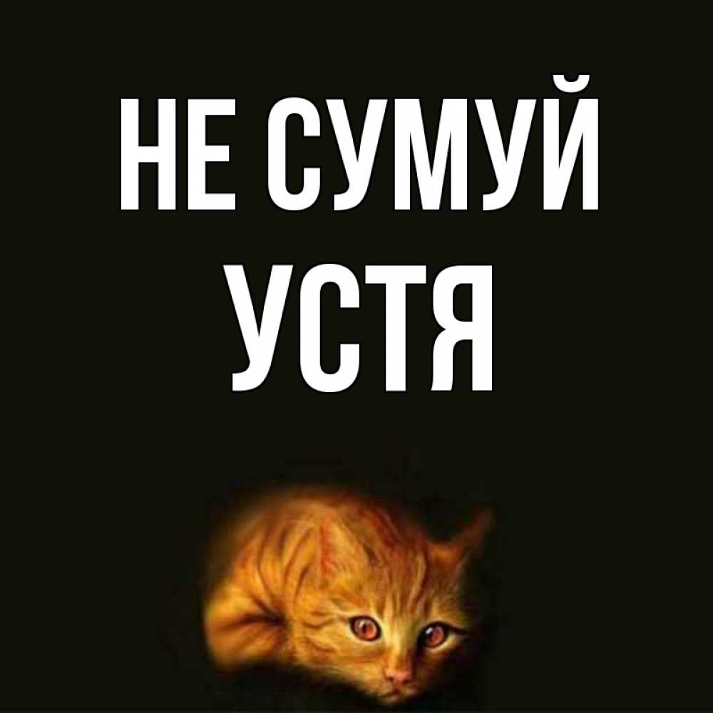 Открытка на каждый день з підписом, Устя Не сумуй лежащий кот в темноте Прикольна листівка з побажанням онлайн скачати безкоштовно 