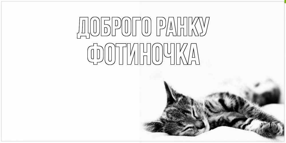 Открытка на каждый день з підписом, Фотиночка Доброго ранку котуся Прикольна листівка з побажанням онлайн скачати безкоштовно 