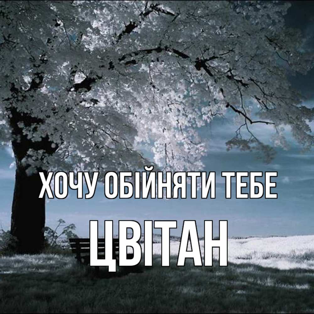 Открытка на каждый день з підписом, Цвітан Хочу обійняти тебе дерево Прикольна листівка з побажанням онлайн скачати безкоштовно 