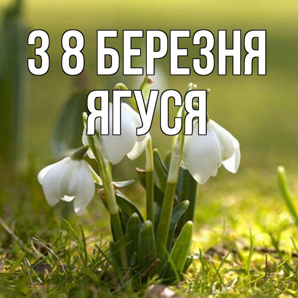 Открытка на каждый день з підписом, Ягуся З 8 БЕРЕЗНЯ ранние цветы 2 Прикольна листівка з побажанням онлайн скачати безкоштовно 