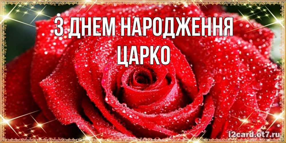 Открытка на каждый день з підписом, Царко З Днем народження роса и роза. открытка с красивой розой Прикольна листівка з побажанням онлайн скачати безкоштовно 