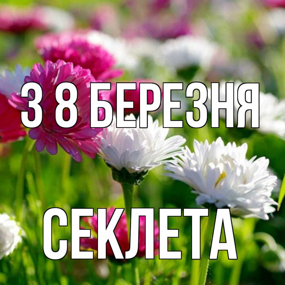 Открытка на каждый день з підписом, Секлета З 8 БЕРЕЗНЯ международный женский день 1 Прикольна листівка з побажанням онлайн скачати безкоштовно 