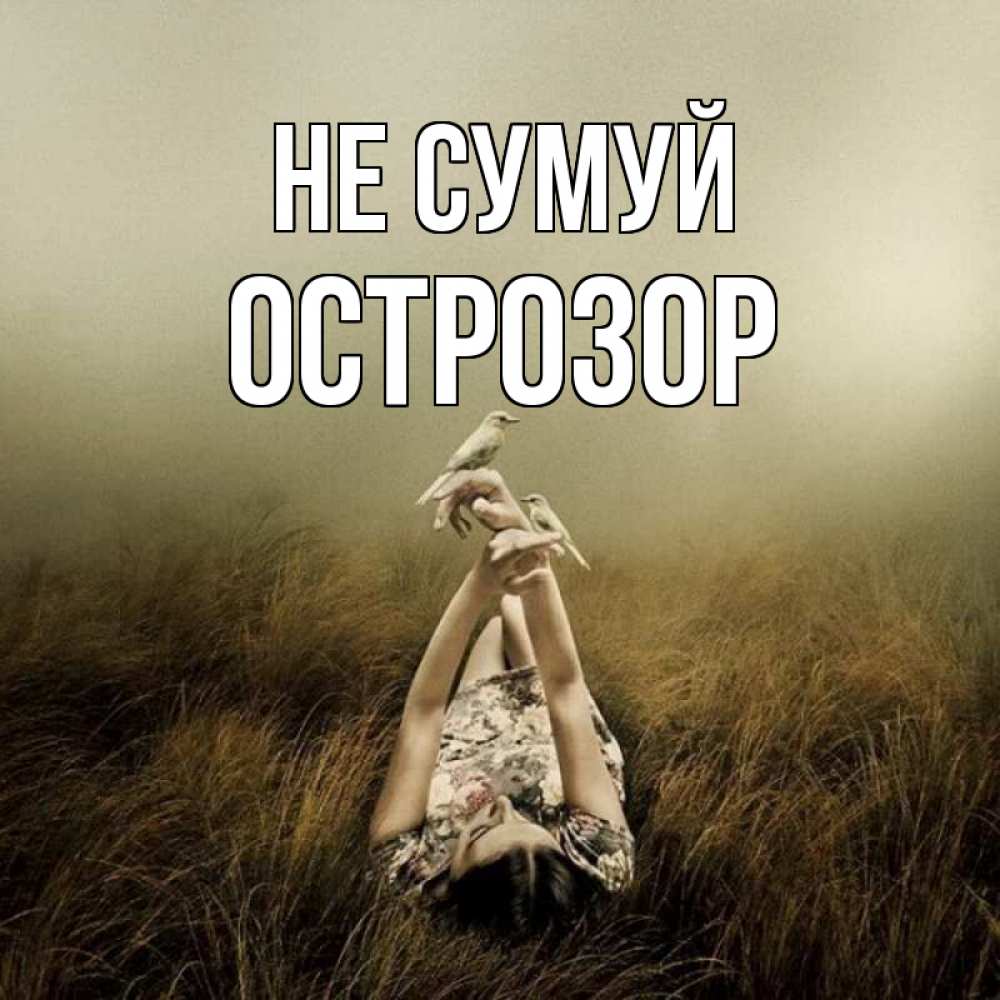 Открытка на каждый день з підписом, Острозор Не сумуй поле и туман Прикольна листівка з побажанням онлайн скачати безкоштовно 