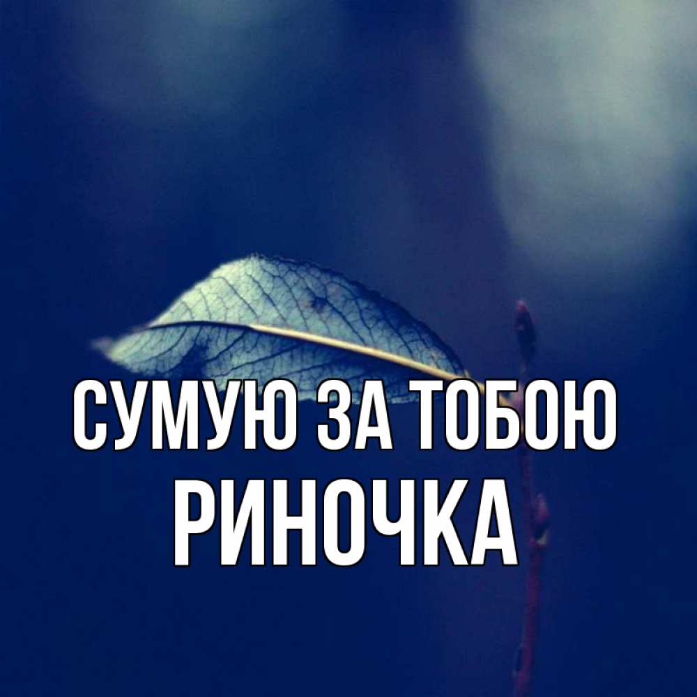 Открытка на каждый день з підписом, Риночка Сумую за тобою одна ветка 1 Прикольна листівка з побажанням онлайн скачати безкоштовно 