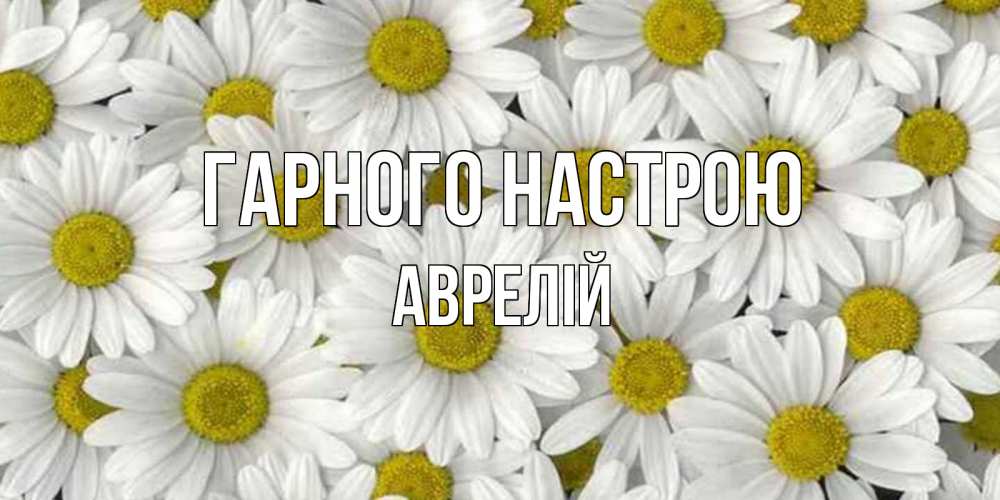 Открытка на каждый день з підписом, Аврелій Гарного настрою поляна ромашек Прикольна листівка з побажанням онлайн скачати безкоштовно 